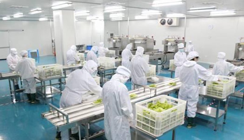 未来趋势:发记双喜餐饮管理有限公司如何引领行业变革